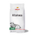Albahaca - comprar online