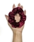 Scrunchie Vinho na internet