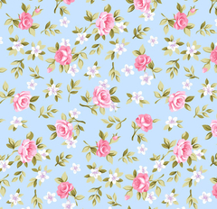 Lúcia cor 05 (Azul com Rosa)