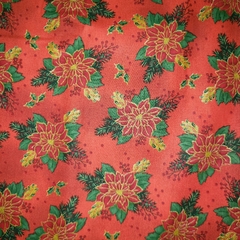 Natal Cor 54