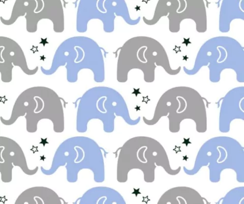 Maya cor - 01 (Azul com Cinza)