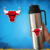 Chicago Bulls