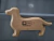 MDF Perro Salchicha - online store