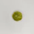 Engobe ENG-41 Verde Manzana x60 cm3 Crecer