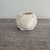 Maceta puercoespin - buy online