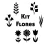 Kit Sellitos Flores