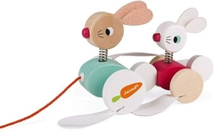 COELHOS PARA PASSEAR COM RODINHAS