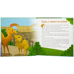 LIVRO DE HISTORIAS PARA CRIANCAS 04 ANOS na internet