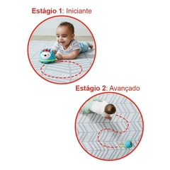 BRINQUEDO INTERATIVO PARA ENGATINHAR EXPLORE AND MORE PORCO-ESPINHO SKIP HOP - AD baby | Roupas e Acessórios nacionais e importados