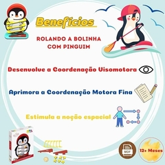 ROLANDO A BOLINHA COM O PINGUIM BABEBI - comprar online