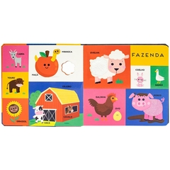 LIVRO 100 PRIMEIRAS PALAVRAS TOQUE E SINTA MEU MUNDO - AD baby | Roupas e Acessórios nacionais e importados