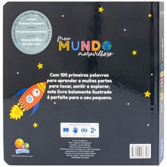 LIVRO 100 PRIMEIRAS PALAVRAS TOQUE E SINTA MEU MUNDO - comprar online