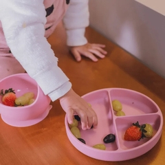 PRATO REFEICAO SILICONE INFANTIL COM DIVISORIAS E VENTOSA ROSA - PETIT PIA na internet