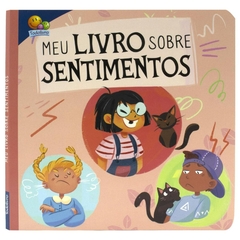LIVRO MEU LIVRO SOBRE SENTIMENTOS TODO LIVRO