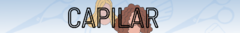 Banner de la categoría CAPILAR