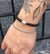 Pulsera Equilibrio - comprar online