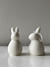 Duo Mini Bunny na internet