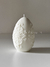 Delicate Egg na internet