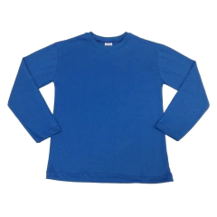 Remeras manga larga lisas - comprar online