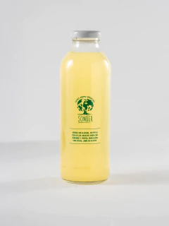 Pack x 12 LIMONADAS de 500ml SURTIDOS - sondernaturalmayorista