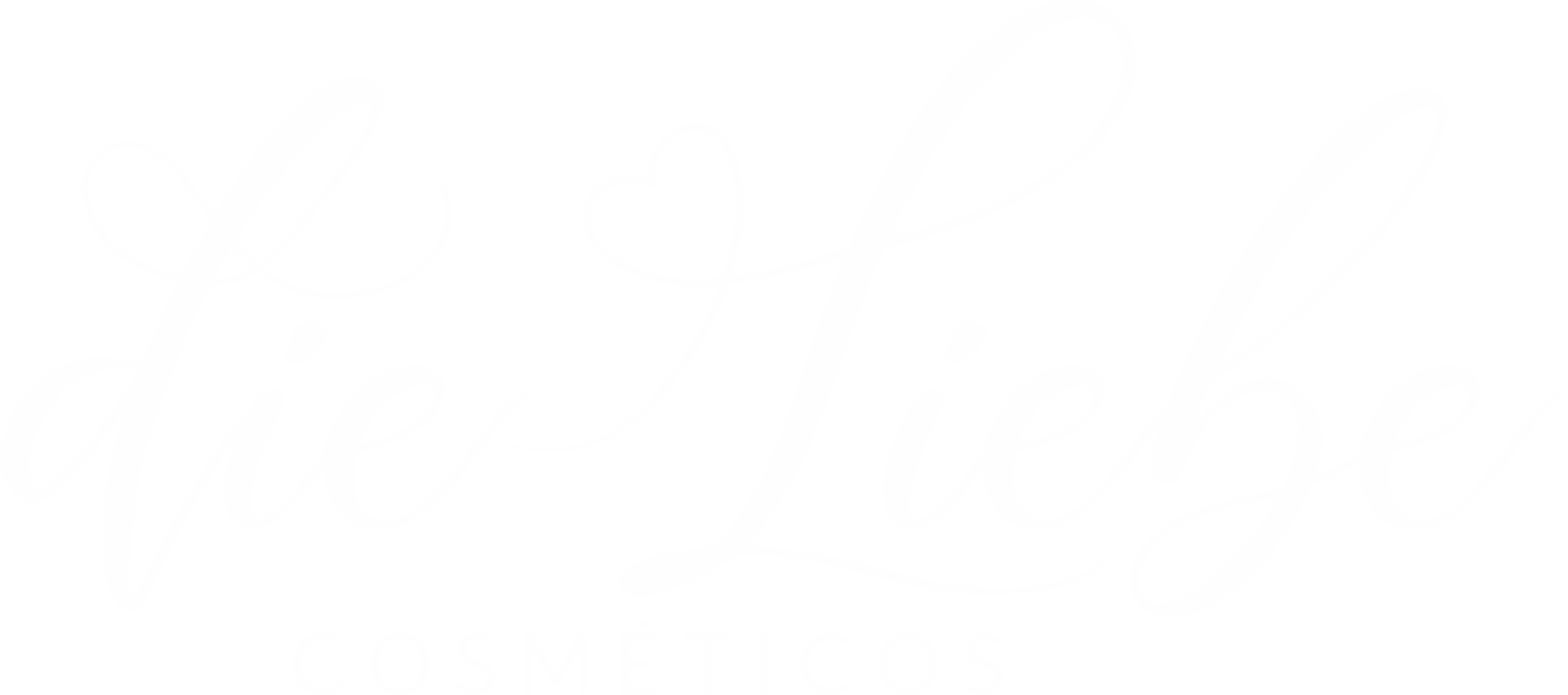 dieLiebe Cosméticos