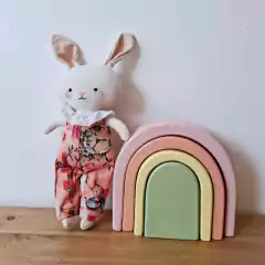 COMBO APEGO+ARCO IRIS 2 en internet