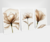 Kit Flor Delicada na internet