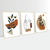 Kit Escandinavo Face e Folhas - loja online