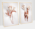Imagem do Kit Flor Rose 3D