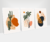 Kit Abstrato Nordeste na internet