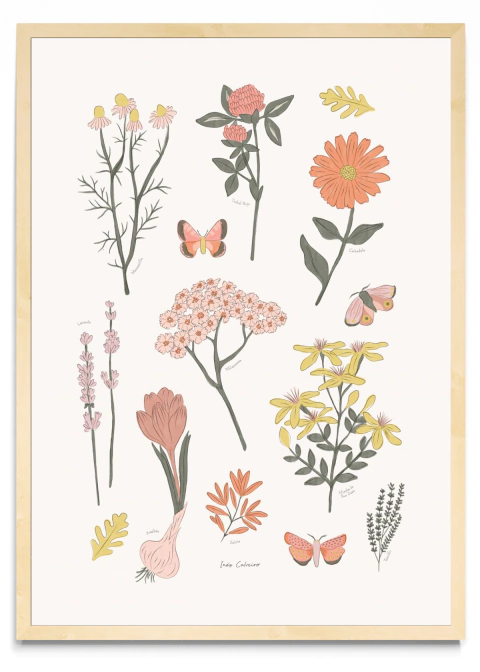 Hierbas medicinales - comprar online