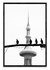 Palomas por Congreso