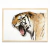 TIGRE