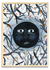 Luna Vieja