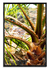Vibrante palmera de vida