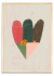 Corazon QUB
