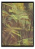 Jungla - comprar online