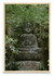 Kyoto Buda - comprar online