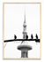 Palomas por Congreso - comprar online