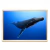 Humpback - comprar online
