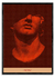 BITMAP Testa - comprar online