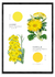 FLEURS ET COULEURS - comprar online