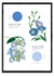 FLEURS ET COULEURS - comprar online