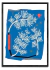 LA VENTANA - comprar online