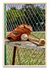 BEISBOL - comprar online