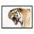 TIGRE - comprar online