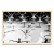 Lago de los Cisnes - comprar online