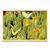 Mariposas - comprar online