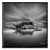A ILHA - comprar online