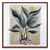 Talle 35 y medio - comprar online